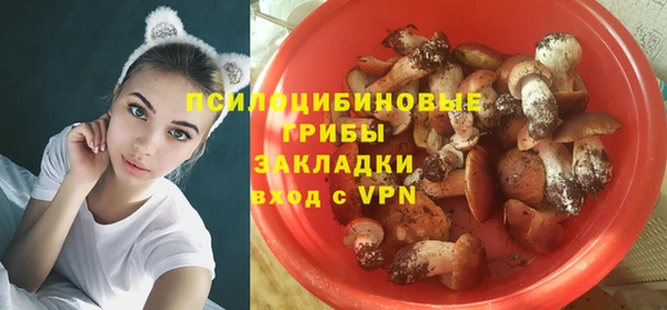 шишки Балабаново