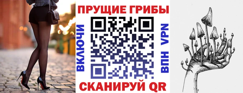 дарнет шоп  Шатура  Галлюциногенные грибы Cubensis 